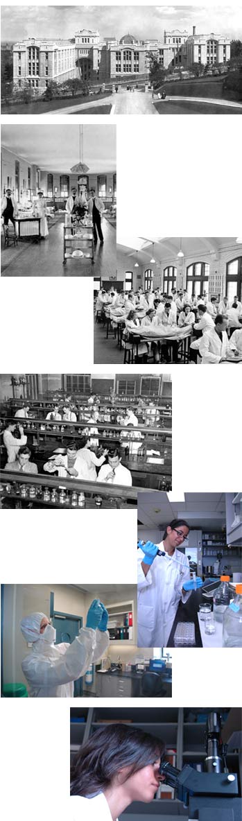 Research milestones - historical photos milestones