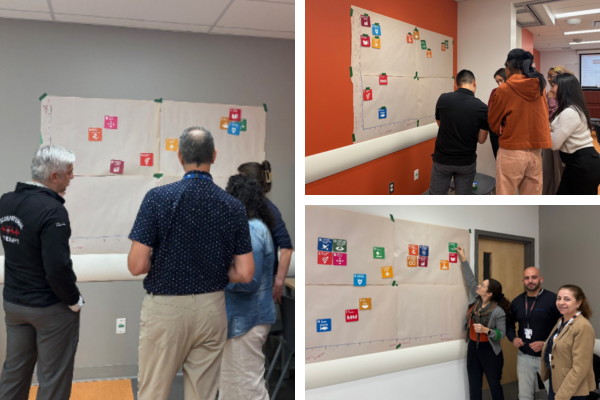 Sustainable Development