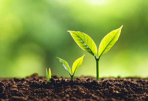 continue to grow your career