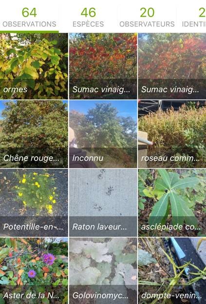 Sustainable Development