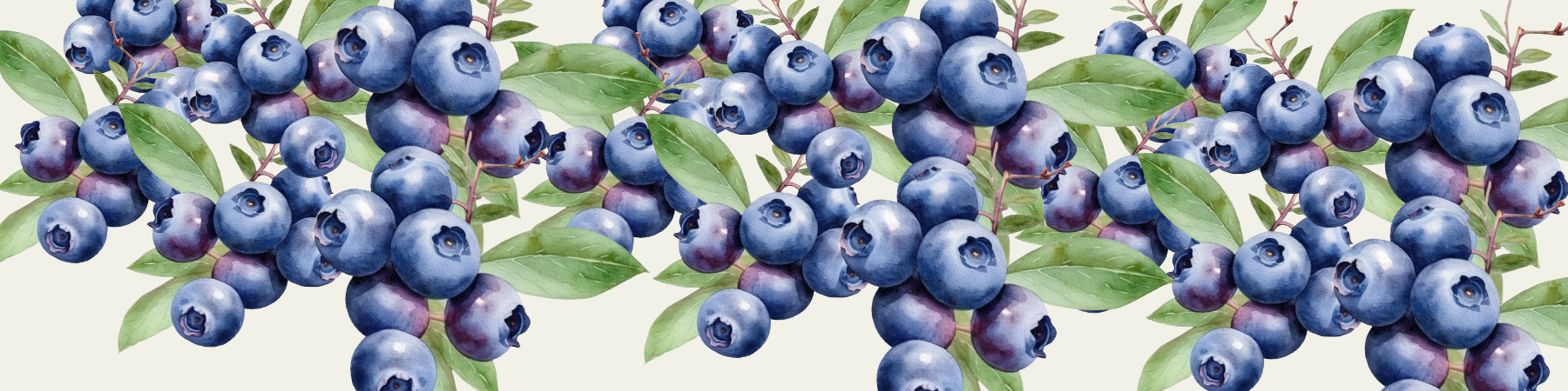 Bleuets