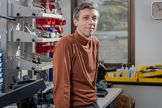 La boussole interne du cerveau et la préservation de nos souvenirs