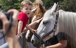 First horse fest a successAs Montreal