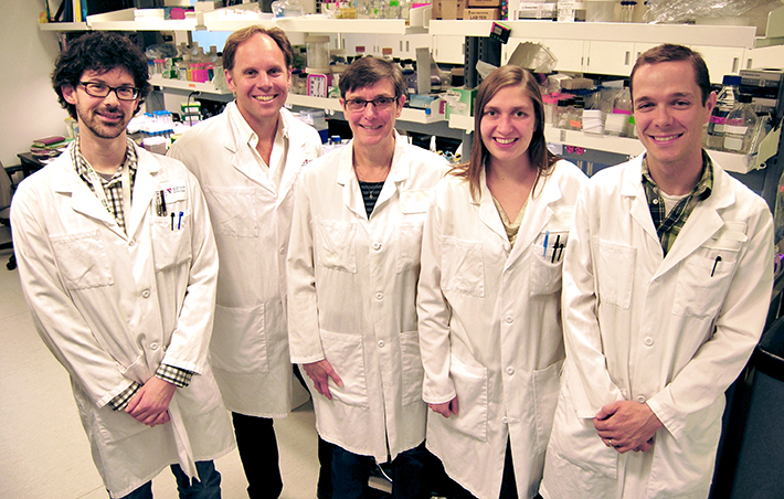 Des chercheurs canadiens développent une nouvelle technologie utilisant des enzymes afin de combattre les biofilms
