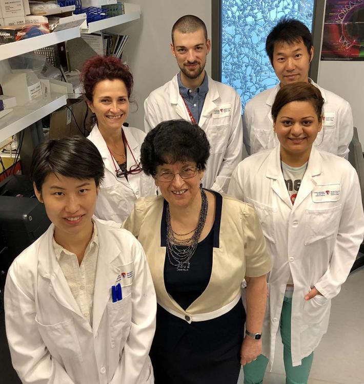 La Prof Pnina Brodt et son équipe espèrent optimiser l’administration d’un nouveau médicament pouvant traverser la barrière hématoencéphalique afin d’améliorer le traitement d’une forme agressive de cancer du cerveau.
