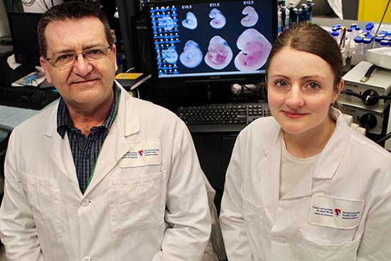 De gauche à droite: Daniel Dufort et Lisa Starr, dans le laboratoire du professeur Dufort à l'Institut de recherche du Centre universitaire de santé McGill - site Glen.