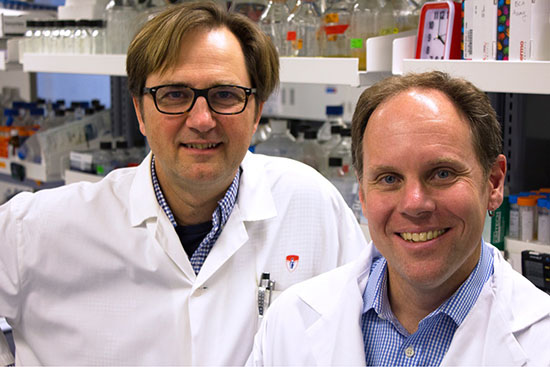 le Dr Marcel Behr, chercheur à l’IR-CUSM et et Dr Don Sheppard, directeur de la Division des maladies infectieuses au CUSM et à l’Université McGill et professeur au Département de microbiologie et d’immunologie de la Faculté de médecine de l’Université McGill