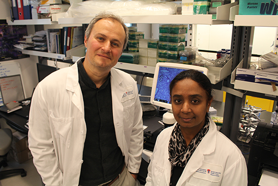 Les chercheurs Maziar Divangahi et Nargis Khan dans les laboratoires Meakins Christie à l'Institut de recherche du CUSM, site Glen.