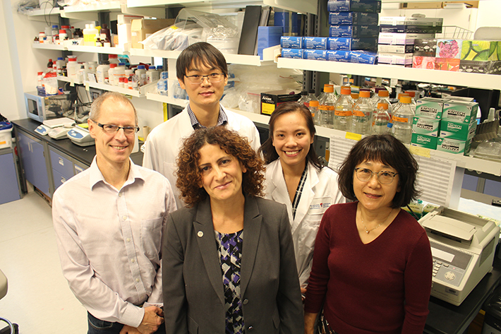 De gauche à droite : Jacek Majewski, Rima Slim, Teruko Taketo, (en avant) avec ZhaoJia Ge et Ngoc Minh Phuong Nguyen (en arrière) dans le laboratoire de la professeure Slim à l'Institut de recherche du Centre universitaire de santé McGill.